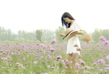 成都夏日纳凉茶香，悠然一夏
